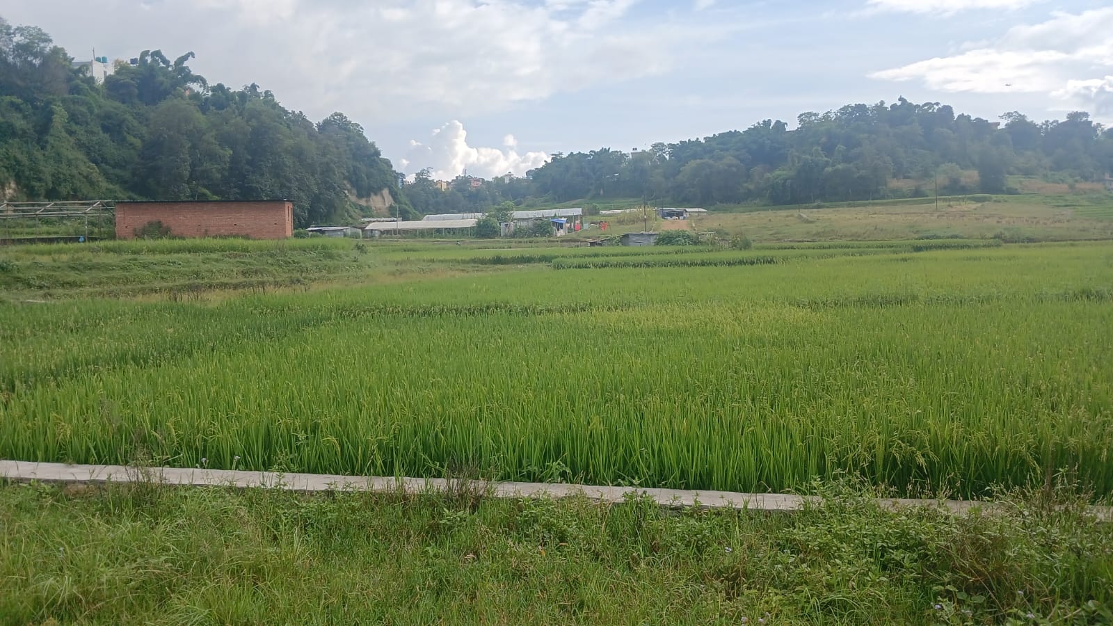 property-image